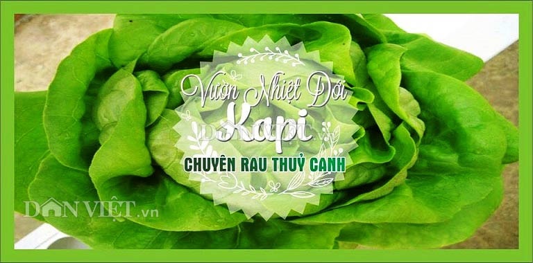 Thương hiệu “Vườn rau nhiệt đới Kapi” được chị Bùi Thị Thanh Sương đăng ký nhãn hiệu.