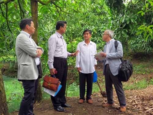Ông Đoàn Thanh Hiền (thứ 2 bên phải) giới thiệu về nghề trồng xoài với đoàn du khách Nhật Bản. Ảnh: A.T