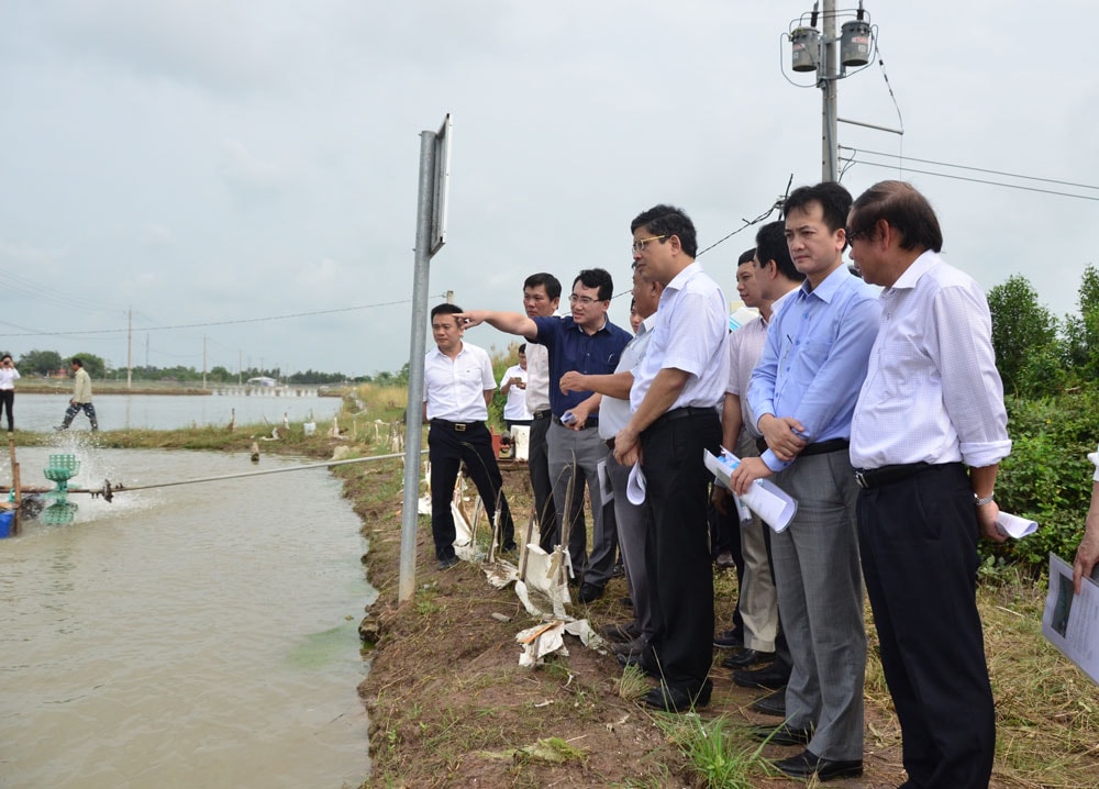 Đoàn công tác liên Bộ khảo sát thực địa