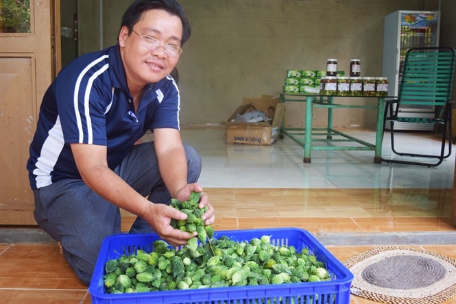 Công đoạn chế biến khổ qua rừng hết sức kỳ công