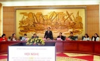 Hải Phòng huy động doanh nghiệp 4 tỉ đồng xã hội hóa bắn pháo hoa Tết