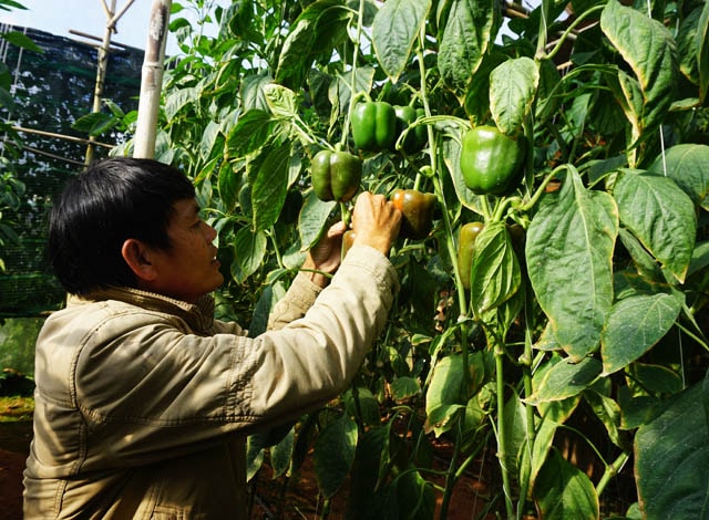 Ông Tài cho biết đã học được 