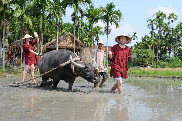 Hết trồng rau, Khoa lại đưa đoàn khách Tây lội ruộng cày cấy, lên thuyền thúng thăm rừng dữa bảy Mẫu, đánh bắt cá trên sông. Mỗi khách Tây đăng ký tham gia một ngày làm nông dân với Khoa đều phải đóng phí mỗi người 50 USD.