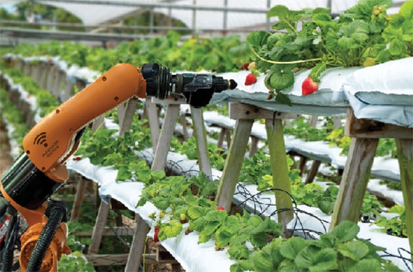 Mỗi robot sẽ giúp tăng năng suất từ 3-5 lần. Nếu trả lương công nhân khoảng 5-6 triệu đồng/ tháng thì đầu tư 1 robot giá 60 triệu, doanh nghiệp chỉ cần 3-5 tháng đã thu hồi được vốn 