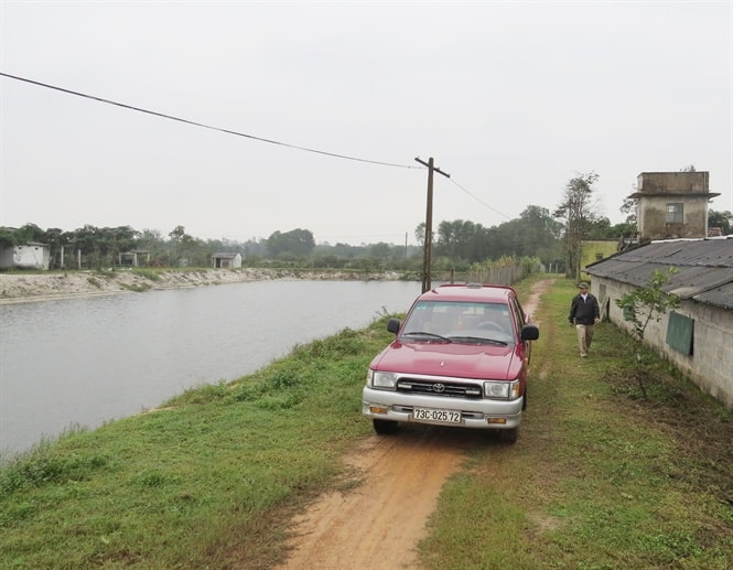 Một góc trang trại