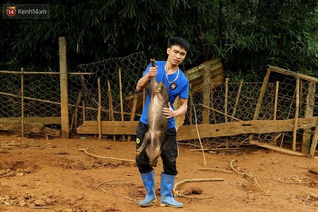 Tùng thử bắt một chú lớn...