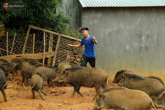 ... là cả đàn chạy tới giải cứu 