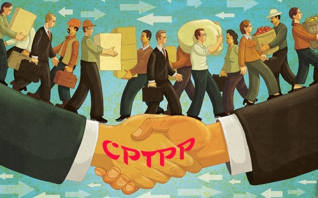 CPTPP liệu có thuận lợi trên con đường phê chuẩn để chính thức đi vào thực thi?