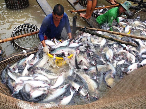 Vasep cho biết đã thuê các luật sư tại Mỹ để hoàn thành vụ kiện.