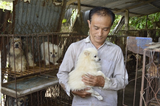 Ông Nguyên chia sẻ kỹ thuật nuôi chó kiểng