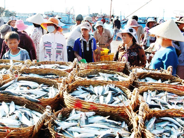 Sự kiện này có tính chất đặc biệt quan trọng để EU cân nhắc rút “thẻ vàng” cho thủy sản Việt Nam.