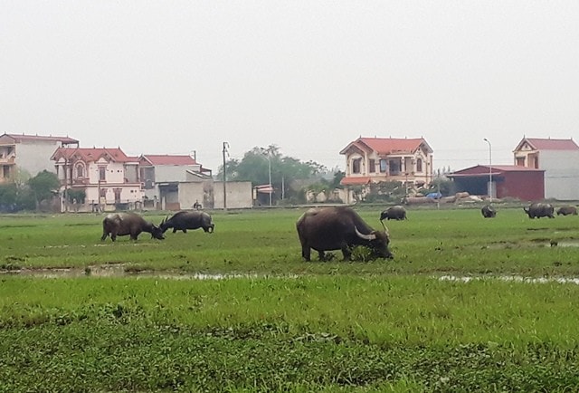 Sao có thể tồn tại những loại phí 