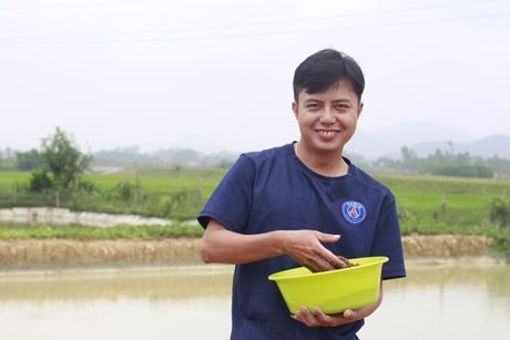 Chạch Quế anh Đào Văn Thắng nuôi ở ruộng có chất lượng thơm ngon, màu sắc bắt mắt, nuôi đến đâu bán hết đến đó.