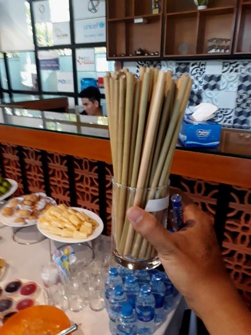 Những sản phẩm ông hút từ cỏ bàng của Tiến. Ảnh: Hà Thế An.