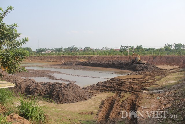 Năm 2013, chị Quyên đấu thầu 8ha diện tích nông nghiệp bỏ hoang ngoài bãi để gây dựng trang trại.