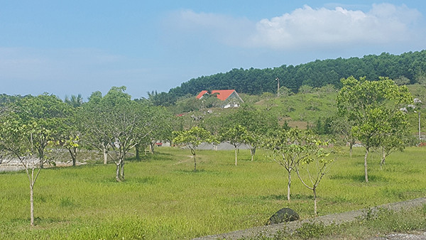 p/Việcp/cò đất, đầu cơ đất lũng đoạn thị trường thời gian qua không phải lỗi của người dân nhưng họ đang chịu trận.