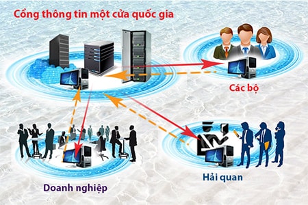 Phó Thủ tướng yêu cầu Bộ Thông tin và Truyền thông tiến hành các thủ tục cần thiết để bãi bỏ thủ tục “Cấp giấy phép nhập khẩu thiết bị phát, thu phát sóng vô tuyến điện”; phối hợp với Bộ Tài chính dừng ngay việc triển khai thủ tục này trên Cổng thông tin một cửa quốc gia, tránh gây lãng phí ngân sách nhà nước. 