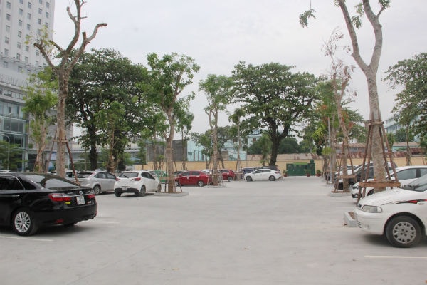 Bãi đỗ xe công cộng nằm trên phố Nguyễn Đức Cảnh ven hồ Tam Bạc, giữa trung tâm thành phố, diện tích gần 10 nghìn m2.