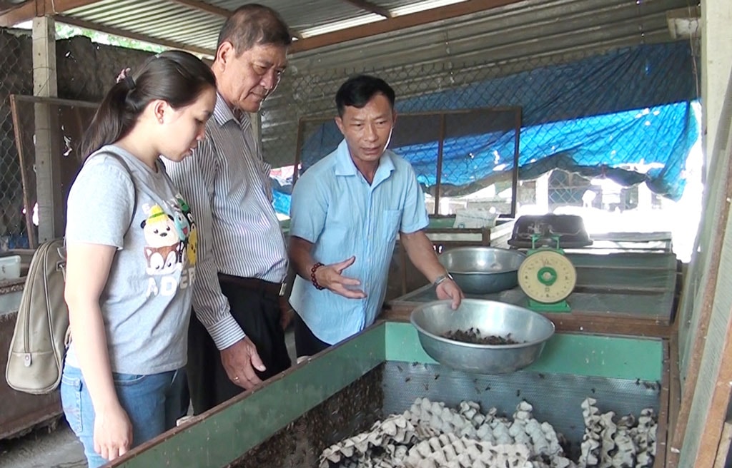 Anh Trương Thanh Dũng (phải) - chủ trang trại giới thiệu về kỹ thuật nuôi dế thương phẩm. Ảnh: Trúc Quỳnh (Báo Long An).