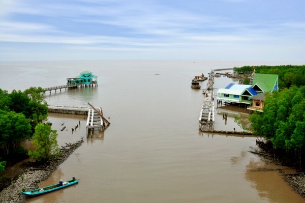 Khu DLQG Mũi Cà Mau chủ yếu thuộc địa bàn huyện Ngọc Hiển và một phần nhỏ thuộc huyện Năm Căn, tỉnh Cà Mau