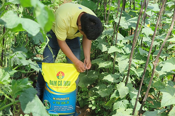 p/Theo các chuyên gia, bỏ bù giá sẽ là cơ hội để doanh nghiệp hoạt động hiệu quả hơn.