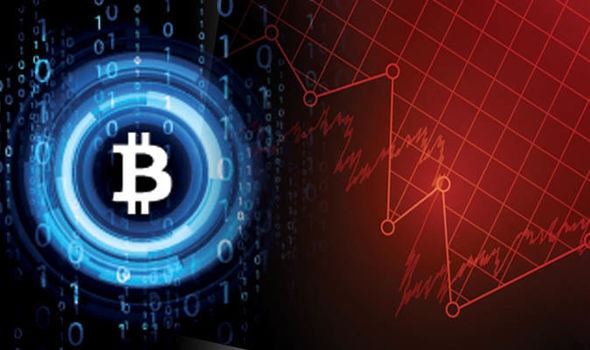 Bitcoin có thể sẽ bật từ đáy để trở lại mốc 20.000 USD