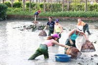 Trăn trở du lịch cộng đồng (Kỳ II): Cần cái “bắt tay”