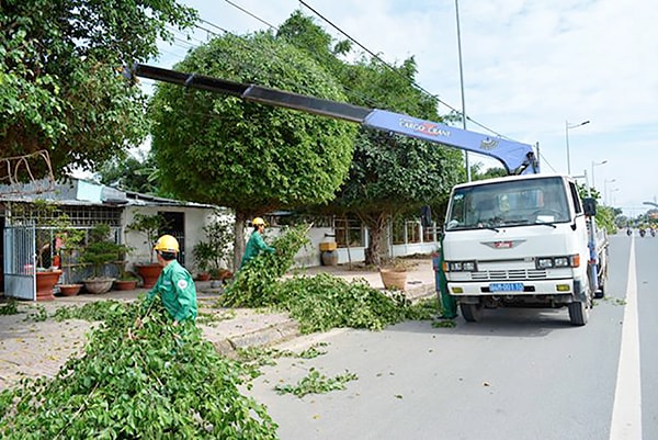 p/Công nhân Trung tâm DVĐT tỉnh Bạc Liêu chủ động cắt tỉa cây xanh phòng chống mưa bão