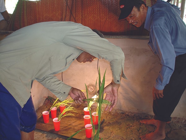 p/Sản xuất và cung ứng giống lúa là một trong những nhiệm vụ chính trị hàng đầu của Trung tâm.