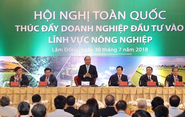 Thủ tướng khẳng định