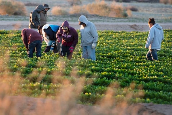 Mexico có nhiều sáng kiến về thúc đẩy