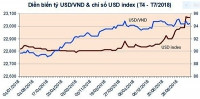 NHNN sẵn sàng can thiệp ổn định tỷ giá