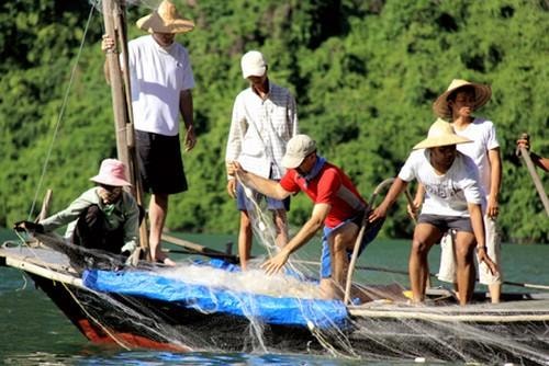 Đánh bắt cùng ngư dân làng chài