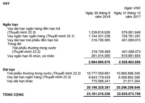 Các khoản vay của HAGL tính đến hết 30/6/2018.