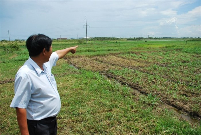 Dự án Khu đô thị - Đại học Quốc tế (VIUT) sau 10 năm vẫn chỉ là bãi cỏ hoang