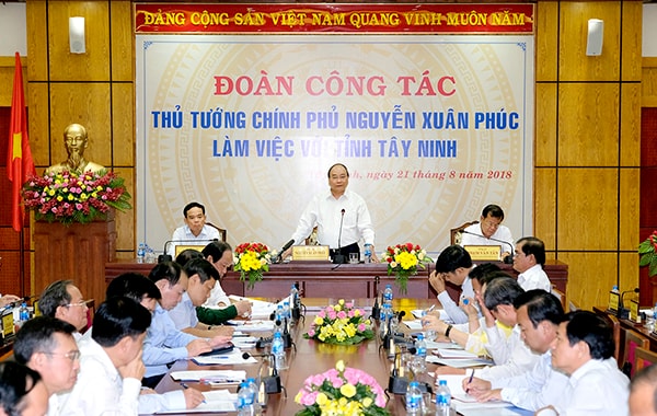 Quang cảnh buổi làm việc.