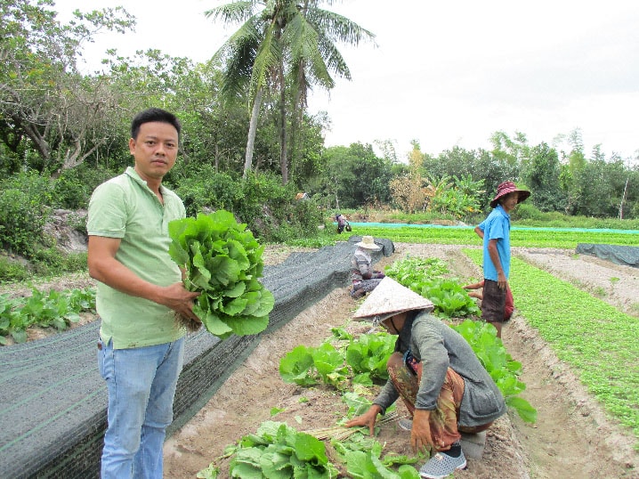 Anh Ca kiểm tra chất lượng rau thu hoạch. Ảnh: Trần Hậu