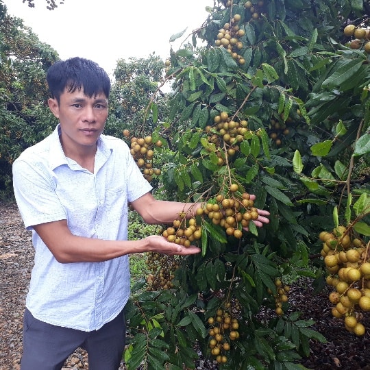 Theo anh Kiên, nhãn ở Pha Cúng không chỉ đảm bảo về chất lượng mà còn đẹp mã