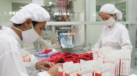 Tham vọng mới của giới đầu tư trong thị trường dược phẩm