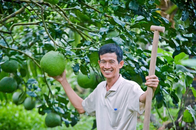 Sau giờ lên lớp, thầy Thuận dành thời gian chăm sóc khu vườn của gia đình; Ảnh Duy Tân