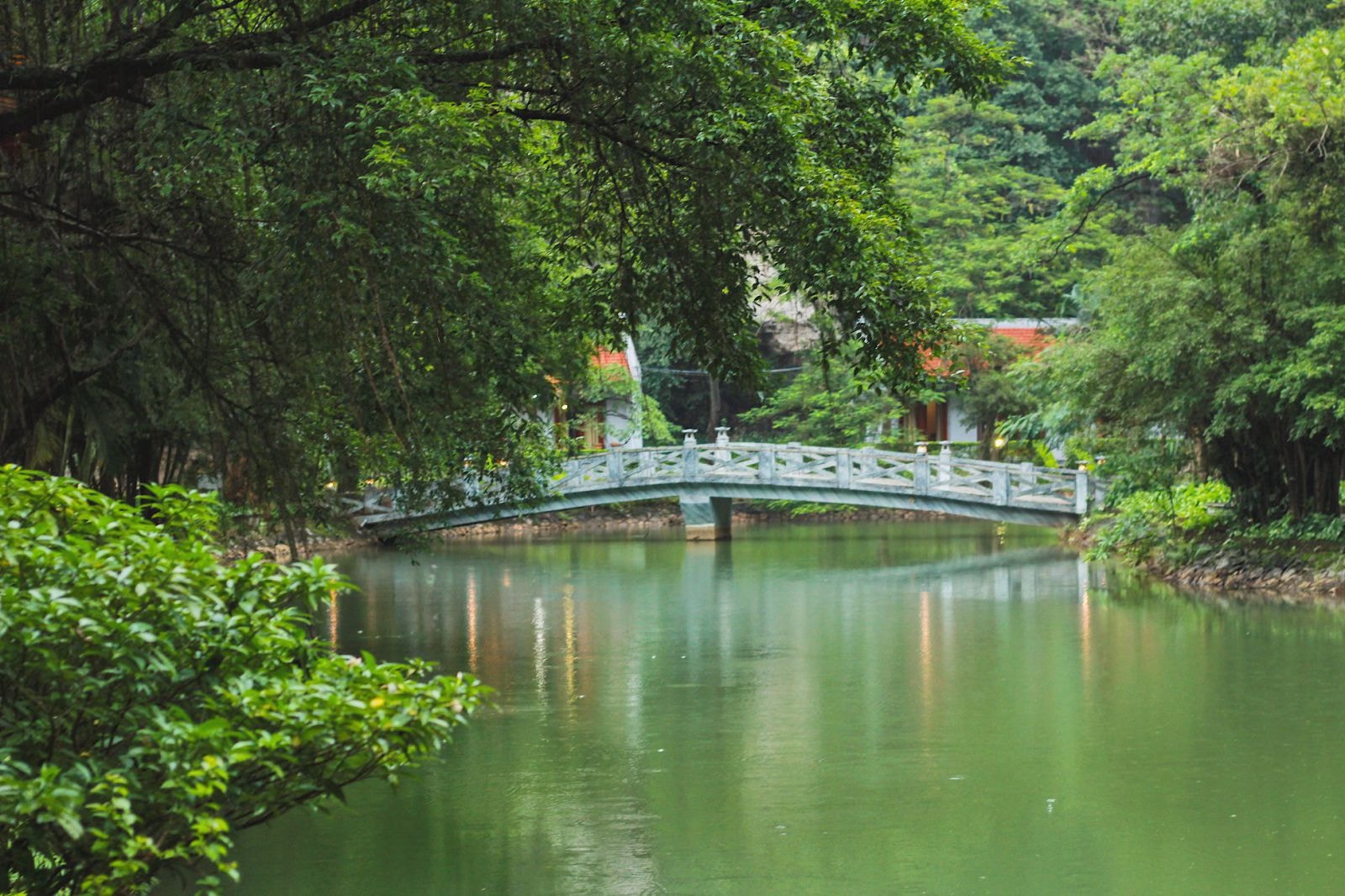 'Nàng thơ của Tam Cốc' có điểm nhấn là 486 bậc thang lên tới đỉnh núi Múa để ngắm Thu Ninh Bình. Dù hoàng hôn hay chiều tà, nơi đây cũng vẫn mang một vẻ đẹp đến xao xuyến tâm hồn.