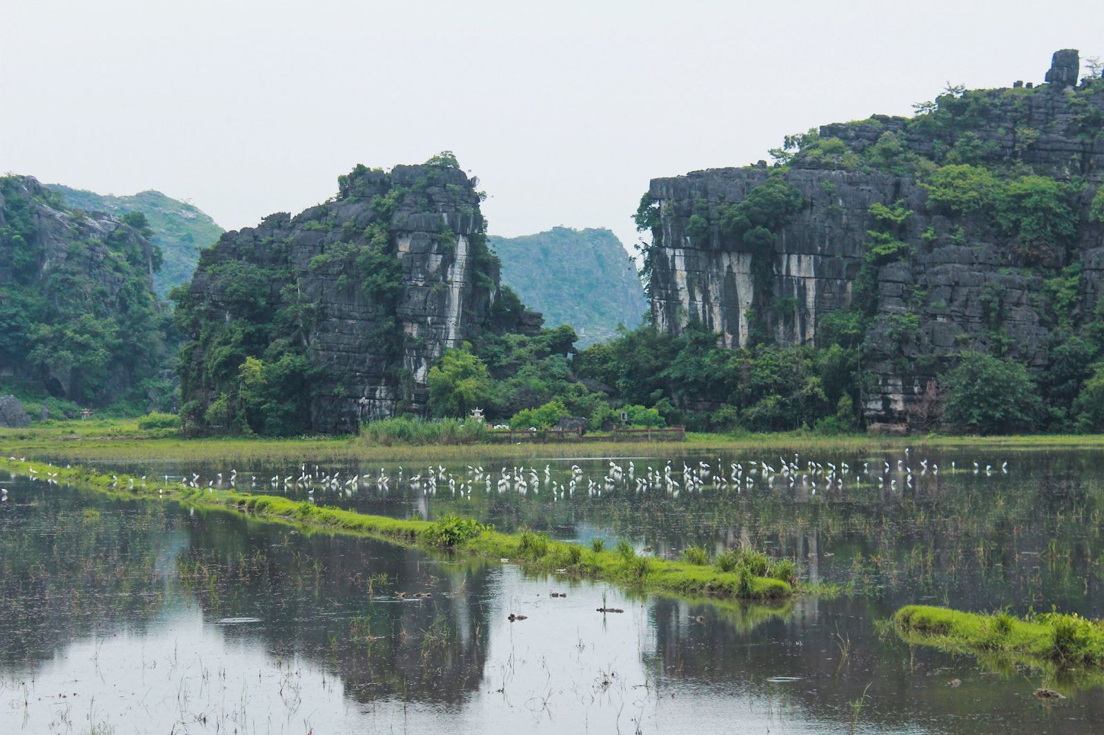 Nếu bạn từng ngất ngây với những mùa thu lãng mạn của châu Âu cùng các nước ôn đới hay đơn giản là mê mẩn một mùa thu rất bình dị nhẹ nhàng của Hà Nội thì có lẽ, đừng quên Ninh Bình với một mùa thu rất riêng của vùng đất cố đô. Theo Dorexhope