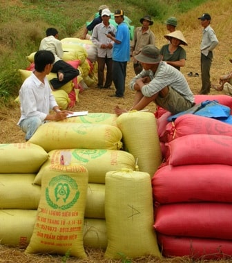 Chuyên gia nông nghiệp Hoàng Trọng Thủy: 
