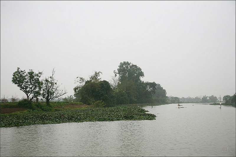 Sông Tiên Hưng