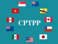 CPTPP: Hết sợ nhưng hãy còn lo