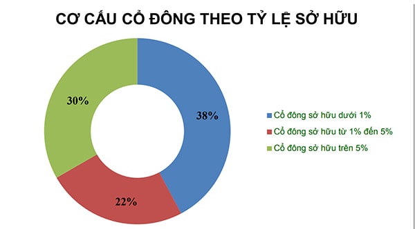 p/Cơ cấu cổ đông của DLG theo tỷ lệ sở hữu