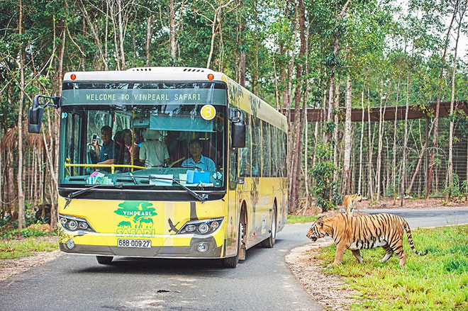 Tại Vinpearl Land Gia Lâm, lần đầu tiên du khách sẽ được khám phá thế giới động vật hoang dã bằng xe lội nước hiện đại thay cho xe bus như tại Phú Quốc.