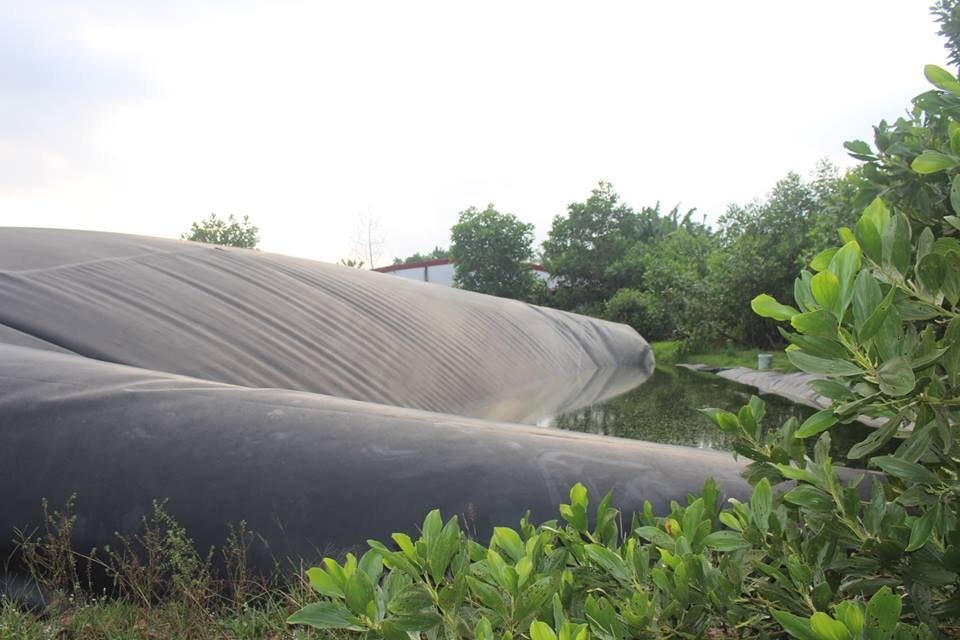 Nhiều góc bạt trùm bể biogas đã bị xẹp, nước đọng phía trên