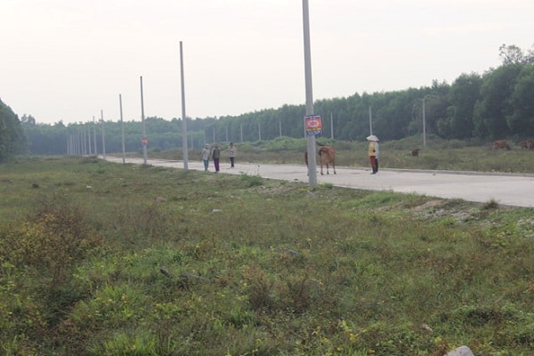 Dự án phân lô bán nền của Cty Alibaba tại huyện Long Thành Đồng Nai, mặc dù không được cấp cwo quan thẩm quyền nào cấp phép