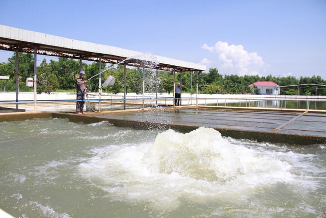 Đà Nẵng đang lâm vào tình trạng thiếu nước sinh hoạt